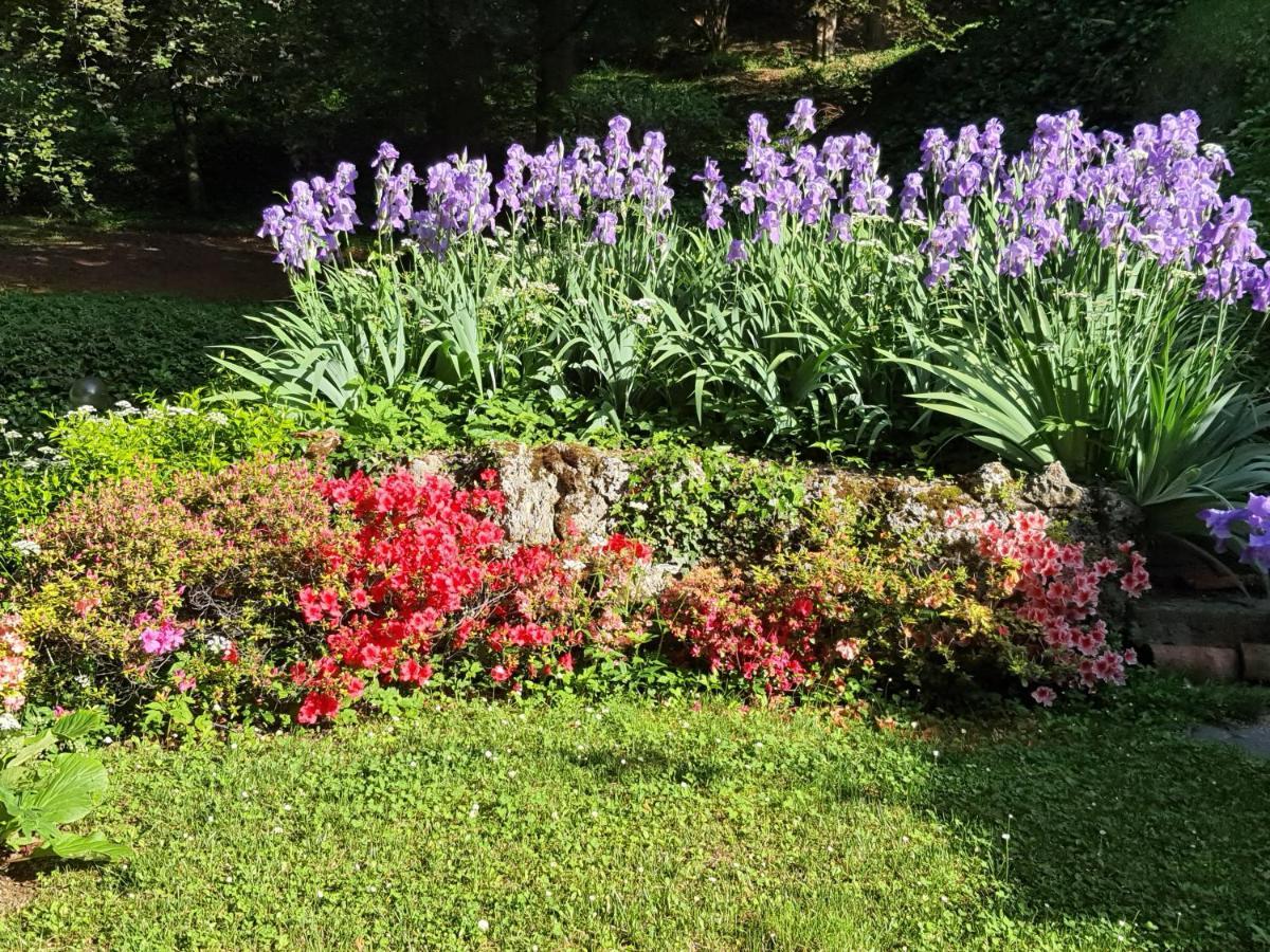 B&B Villa Sant'Anna 베르가모 외부 사진